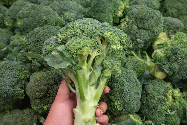 Broccoli verdi al mercato per lo sfondo