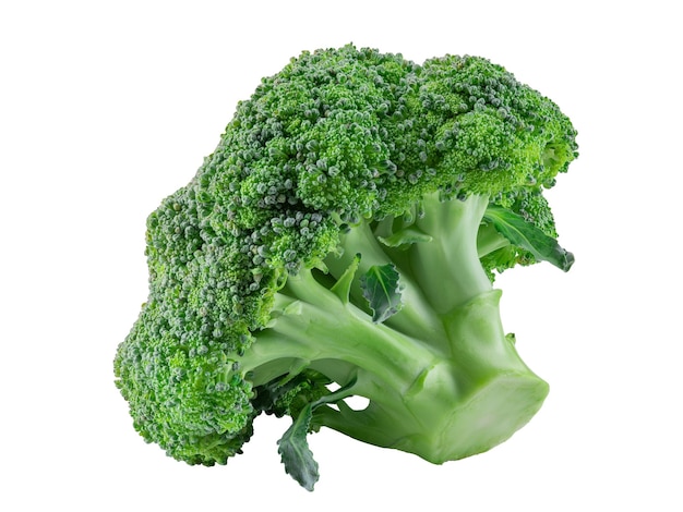 Broccoli verdi isolati su sfondo bianco con copia spazio per testo o immagini verdura commestibile con