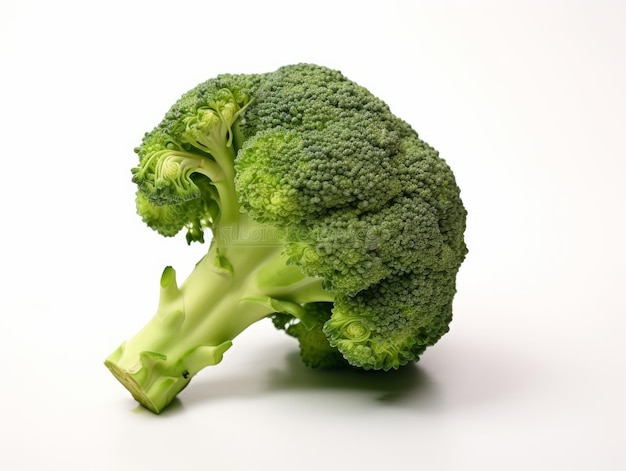 Broccoli verdi isolati su uno sfondo bianco