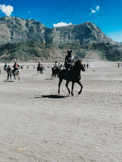 Bromo Bella vista