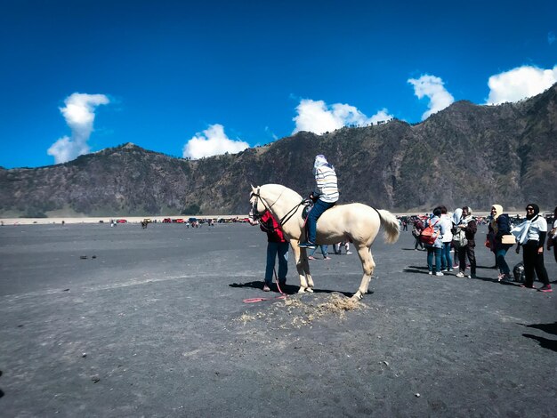 Bromo Bella vista