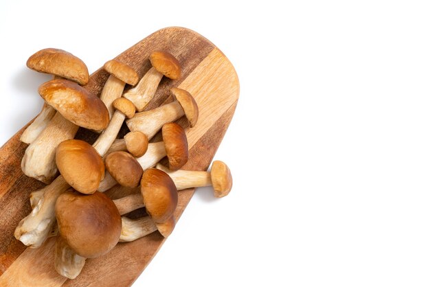 Brown cap Boletus Edulis su un tagliere su bianco