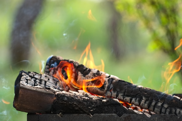 Bruciare legna da ardere all&#39;aperto