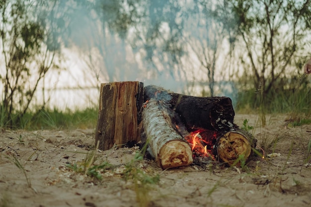 Bruciare tronchi di legno nel fuoco