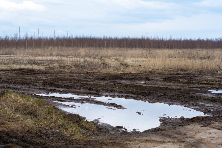 Brutta strada di campagna. Danneggiata una strada sterrata. Argilla, sporco. Problema di concetto con le strade. impatto umano sull'ambiente. Brutta strada russa