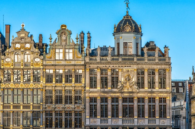 Bruxelles, Belgio. Facciata di case sulle piazze storiche Grand Place e Maison du Roi e uno spettacolo imperdibile di Bruxelles.