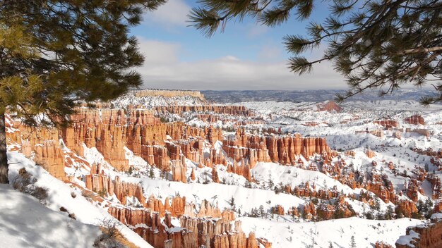 Bryce canyon in inverno la neve nello utah usa hoodoos in anfiteatro eroso rilievo panoramico punto di vista formazione arancione unica arenaria rossa conifere pino o abete eco turismo in america