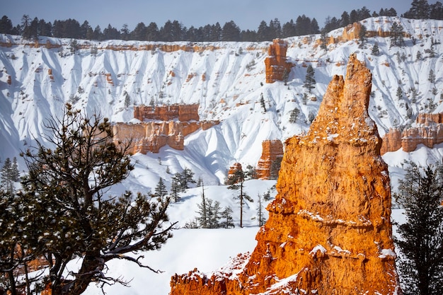 bryce canyon national park in inverno, formazioni rocciose uniche nello utah coperte di neve, rocce arancioni