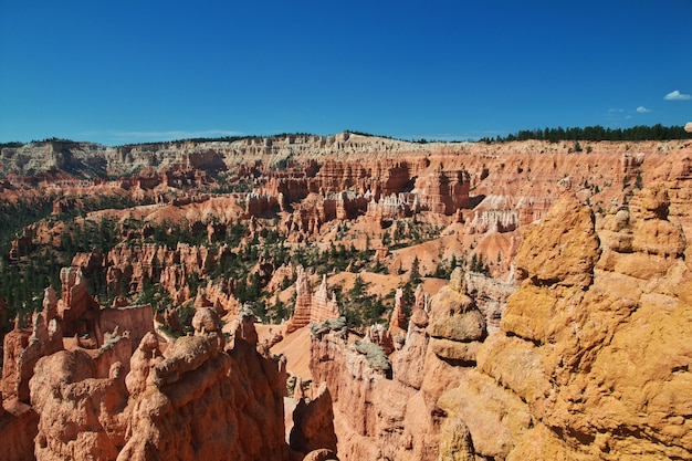 Bryce Canyon nello Utah, Stati Uniti d'America