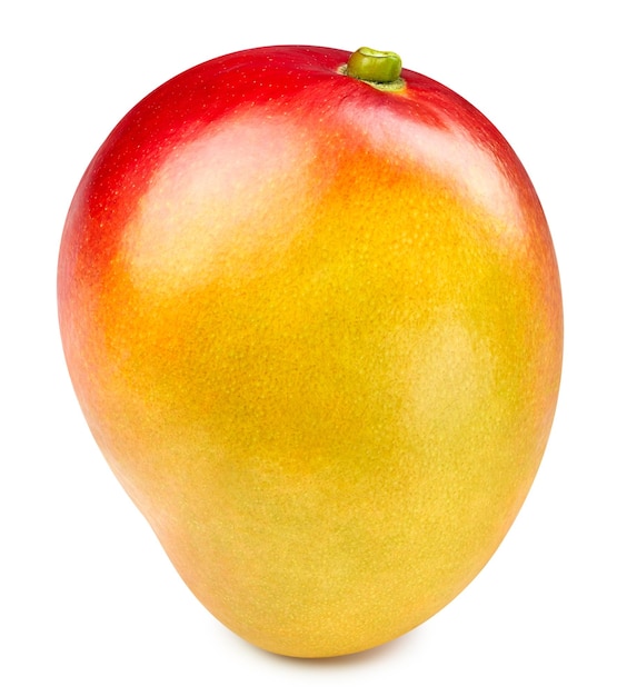 Buah mangga terisolasi