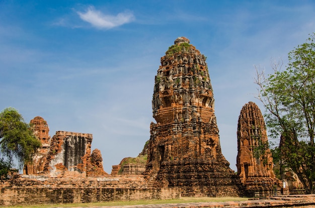 Buddha a Ayutthaya, Tailandia.