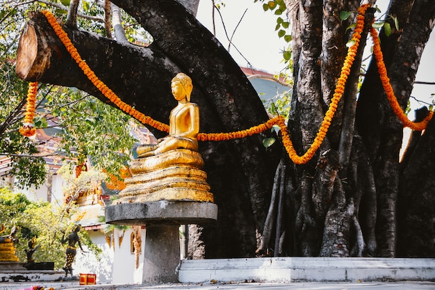 Buddha a Bangkok