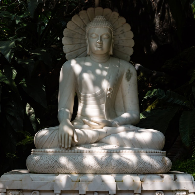 Buddha d'oro sotto l'albero della Bodhi