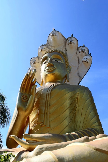 Buddha in Tailandia