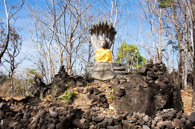 Buddha medita e copre la testa protettiva da un serpente mitico o Nak Prok Buddha Al riparo da un cappuccio naga sulla montagna della scogliera per i thailandesi viaggiano rispetto nel Parco forestale di Phanom Sawai in Surin Thailandia