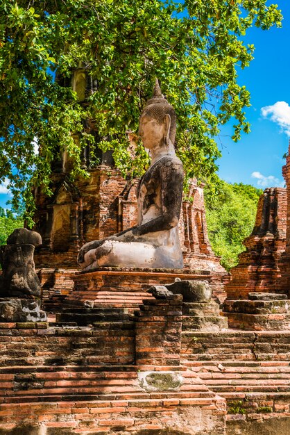 Buddha, un bellissimo sito antico in Wat Maha That Ayutthaya come sito del patrimonio mondiale, Thailandia