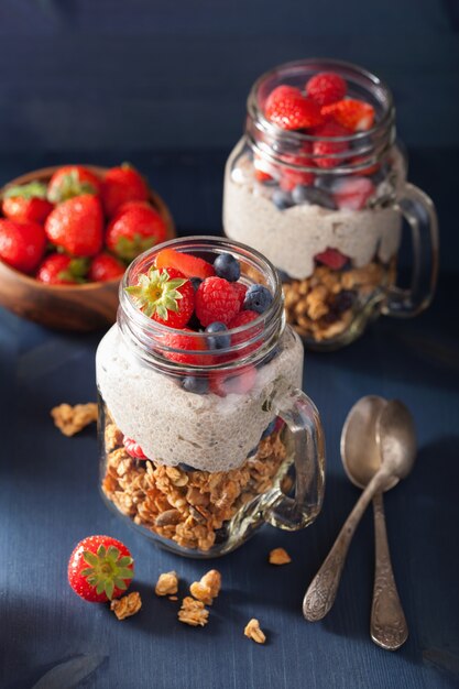 Budino casalingo del seme di chia e del granola con la prima colazione sana della bacca