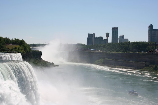 Bufalo delle Cascate del Niagara New York