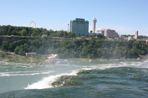 Bufalo delle Cascate del Niagara New York