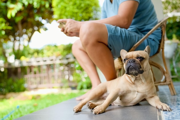 Bulldog francese carino seduto accanto all'uomo asiatico in giardino