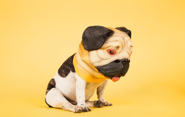 Bulldog francese divertente indossa una maschera da carlino