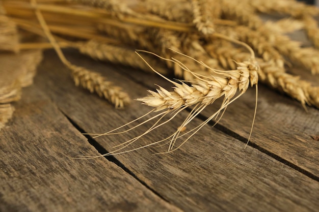 Bunch di orecchie di grano su burlap e sfondo di legno