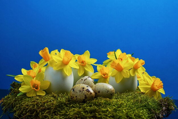 Buon concetto di sfondo per le vacanze di Pasqua Decorazione pasquale con fiori in gusci d'uovo e uova di quaglia su muschio Layout creativo di pasqua Copia spazio