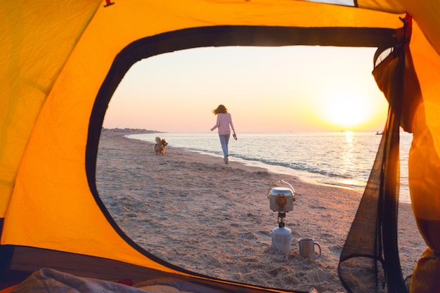 Buon fine settimana divertente al mare - ragazza che gioca al frisbee con un cane sulla spiaggia. Estate