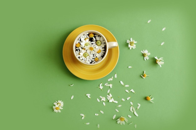 Buona mattina d'estate augura una tazza di tè con petali e fiori di camomilla su uno sfondo pastello vista dall'alto spazio per il testo