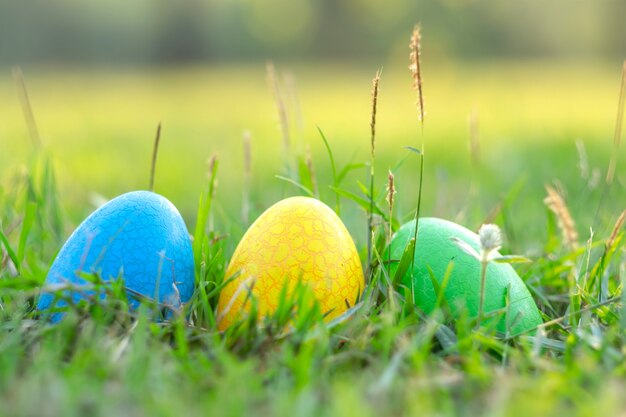 Buona Pasqua con coniglietto carino uova colorate al mattino, divertente decorazione in primavera stagione erba