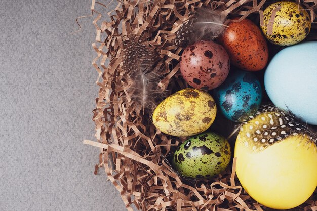 Buona Pasqua. Sfondo luminoso di Pasqua di congratulazioni. Vista dall'alto, piatto. Uova di Pasqua colorate e piume in un nido su uno sfondo grigio, primo piano.