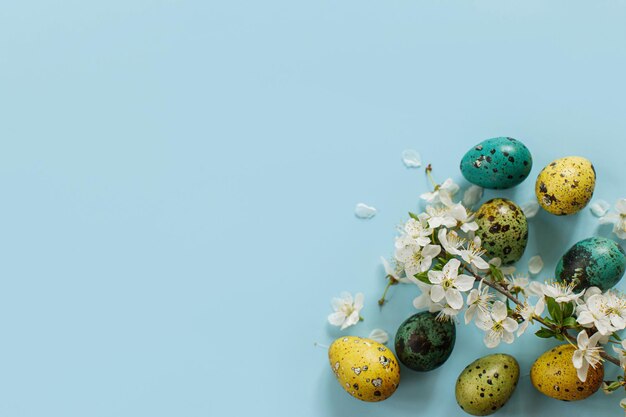 Buona Pasqua Uova alla moda di Pasqua e fiori primaverili in fiore su sfondo blu spazio per il testo Biglietto di auguri moderno o banner Uova di quaglia colorate dipinte naturali e fiori di ciliegio