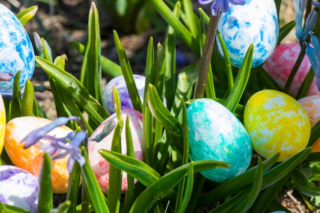 Buona Pasqua uova colorate e fiori Erba e terra