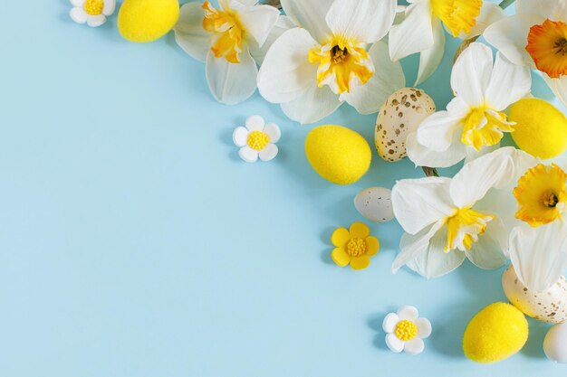 Buona Pasqua Uova di Pasqua e fiori di narcisi gialli piatti su sfondo blu Elegante modello festivo con spazio per il testo Biglietto d'auguri o banner