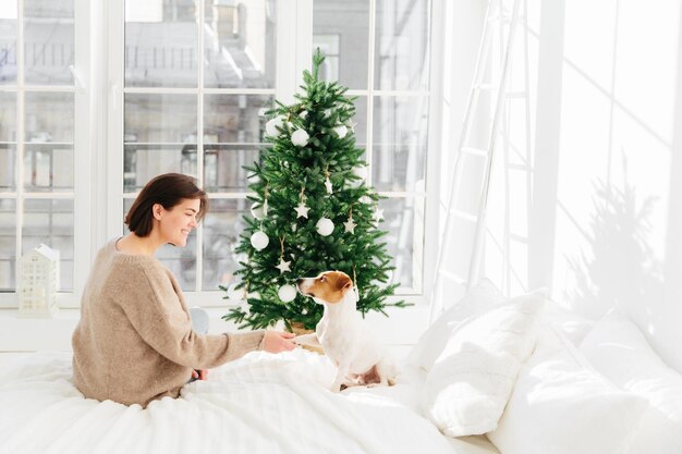 Buone vacanze invernali concetto Positivo bella donna gioca con il cane vestito in abbigliamento casual posa sul letto in un'accogliente camera da letto riposarsi dopo la decorazione dell'albero di Capodanno Natale con adorabile animale domestico