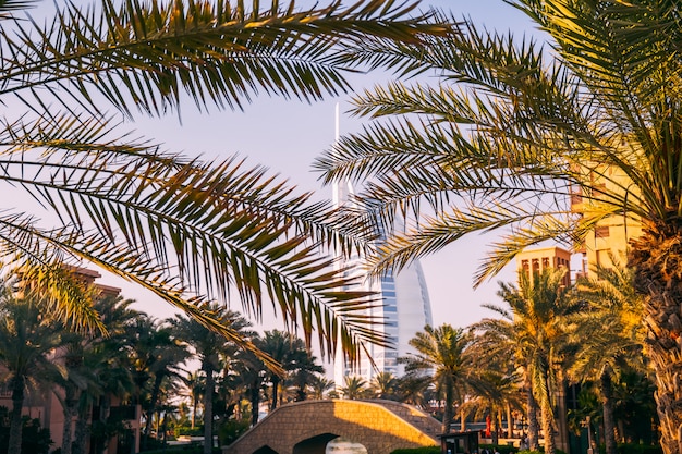 Burj Al Arab Dubai