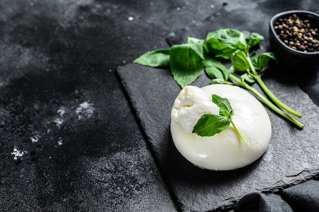 Burrata italiana con foglie di basilico