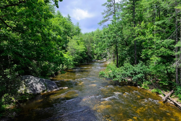 Burrells Ford sul fiume Chatooga