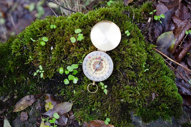 Bussola d'oro su muschio verde