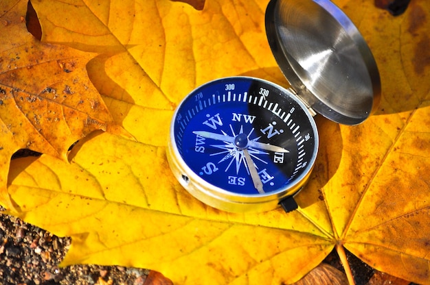 Bussola tra le foglie d'autunno