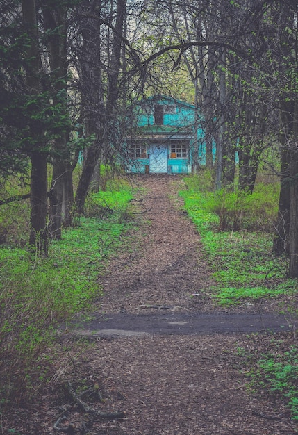 Bykovo Manor a Bykovo VorontsovDashkov Manor maniero abbandonato edificio abbandonato