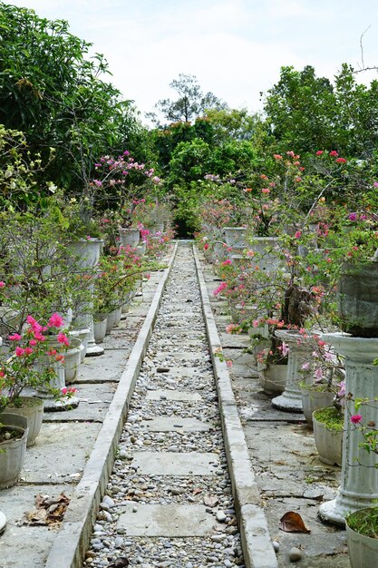 c'è un giardino di fiori lungo la passerella