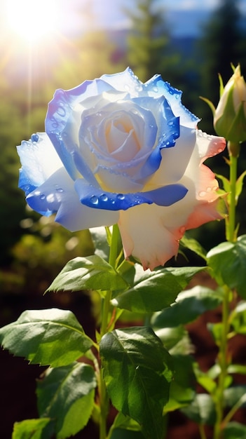 c'è una rosa blu e bianca con gocce d'acqua su di essa ai generativa
