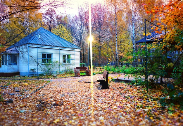 Cabina nel parco autunnale con sfondo di lampada leggera