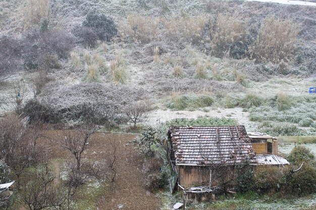 Cabina solitaria nel campo nevoso e freddo