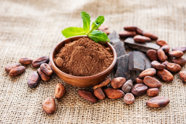 Cacao in polvere, cioccolato e fagioli
