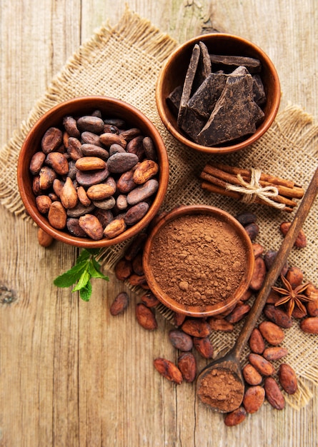 Cacao in polvere naturale, cioccolato e fave di cacao