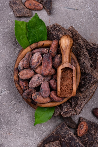 Cacao naturale in polvere fave di cacao e cioccolato