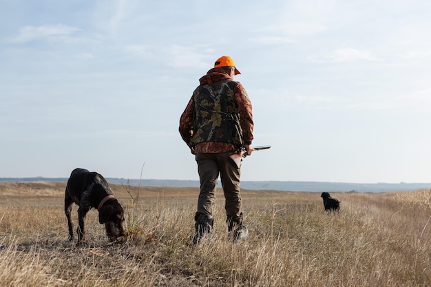 Cacciatore di uomini maturi con la pistola mentre cammini sul campo con i tuoi cani