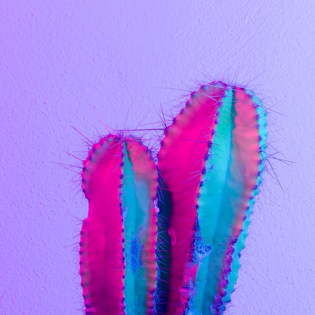 Cactus al neon. Cactus minimo. Idea di moda cactus